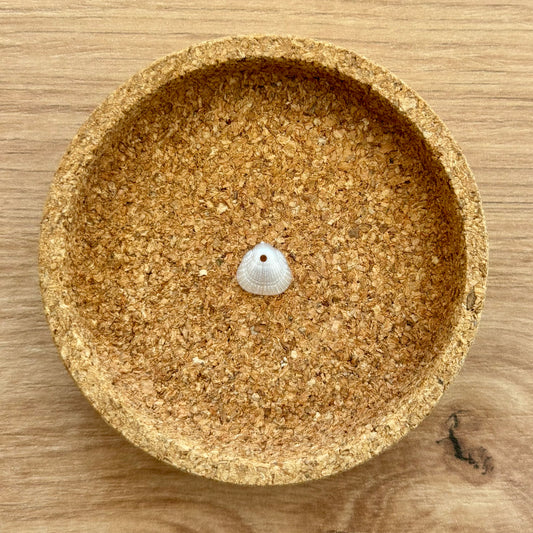 Charm Coquillage Blanc